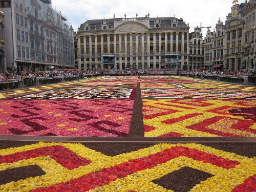 BruselskÃ½ kvÄtinovÃ½ koberec
