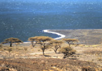 Jezero Turkana 1