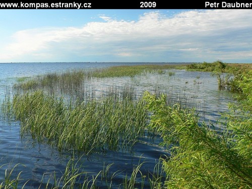 Laguna Iberá - pohled z kempu