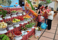 Madeira 2013 tržiště
