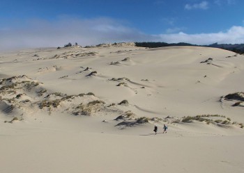 Písečné duny v Oregonu