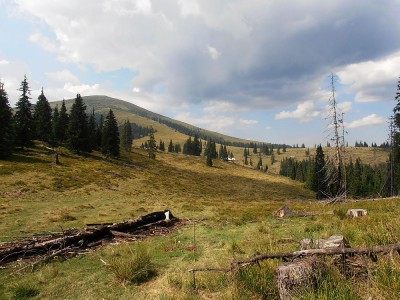 Virful Lui Patru (2150 m.n.m.)