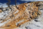 yellowstone-32-mammoth-hot-springs.jpg