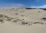 stopem-do-oregonu-04-oregon-dunes.jpg