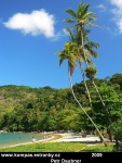 ILHA-GRANDE-09.jpg