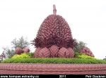 kampot-03-jeho-velicenstvo-durian.jpg