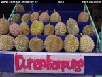 kuala-lumpur-22-stanek-s-duriany.jpg