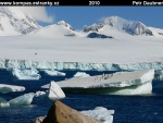 ANTARKTIDA-12-Antarkticky-poloostrov-Brown-Bluff.jpg