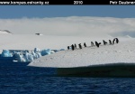 ANTARKTIDA-13-Antarkticky-poloostrov-Brown-Bluff.jpg