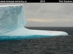 ANTARKTIDA-22-tucnaci-na-icebergu.jpg