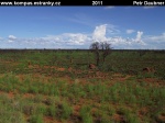 outback-20-rudozelena-krajina-s-termitisti.jpg