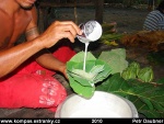 savaii-08-kokosove-mleko-zabalene-do-listu-tara-mnam-.jpg