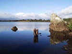 tasmania-43-bradys-lake.jpg