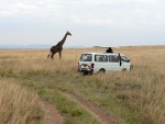Masai-Mara-17.jpg