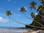 b068-pobrezi-ostrova-taveuni-fidzi.jpg