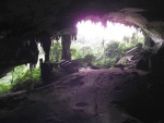 malajsie--sarawak-niah-np-the-great-cave-west-mouth.jpg