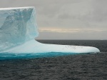 antarktida--tucnaci-na-icebergu.jpg