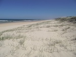 australie--queensland-north-stradbroke-island-main-beach.jpg
