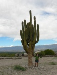 argentina--jeden-mensi-kaktus.jpg