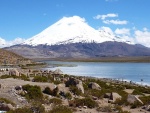 chile--sopka-na-chilsko-bolivijske-hranici.jpg
