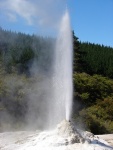 novy-zeland--rotorua-wai-o-tapu-lady-knox-geyser.jpg