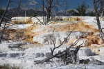 usa--wyoming-yellowstone-np-mammoth-hot-springs.jpg