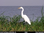 lake-victoria06.jpg