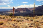 grand-canyon-08-suchomilna-vegetace-v-grand-canyonu.jpg