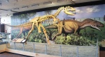 dinosaur-04-dinosaur-quarry.jpg